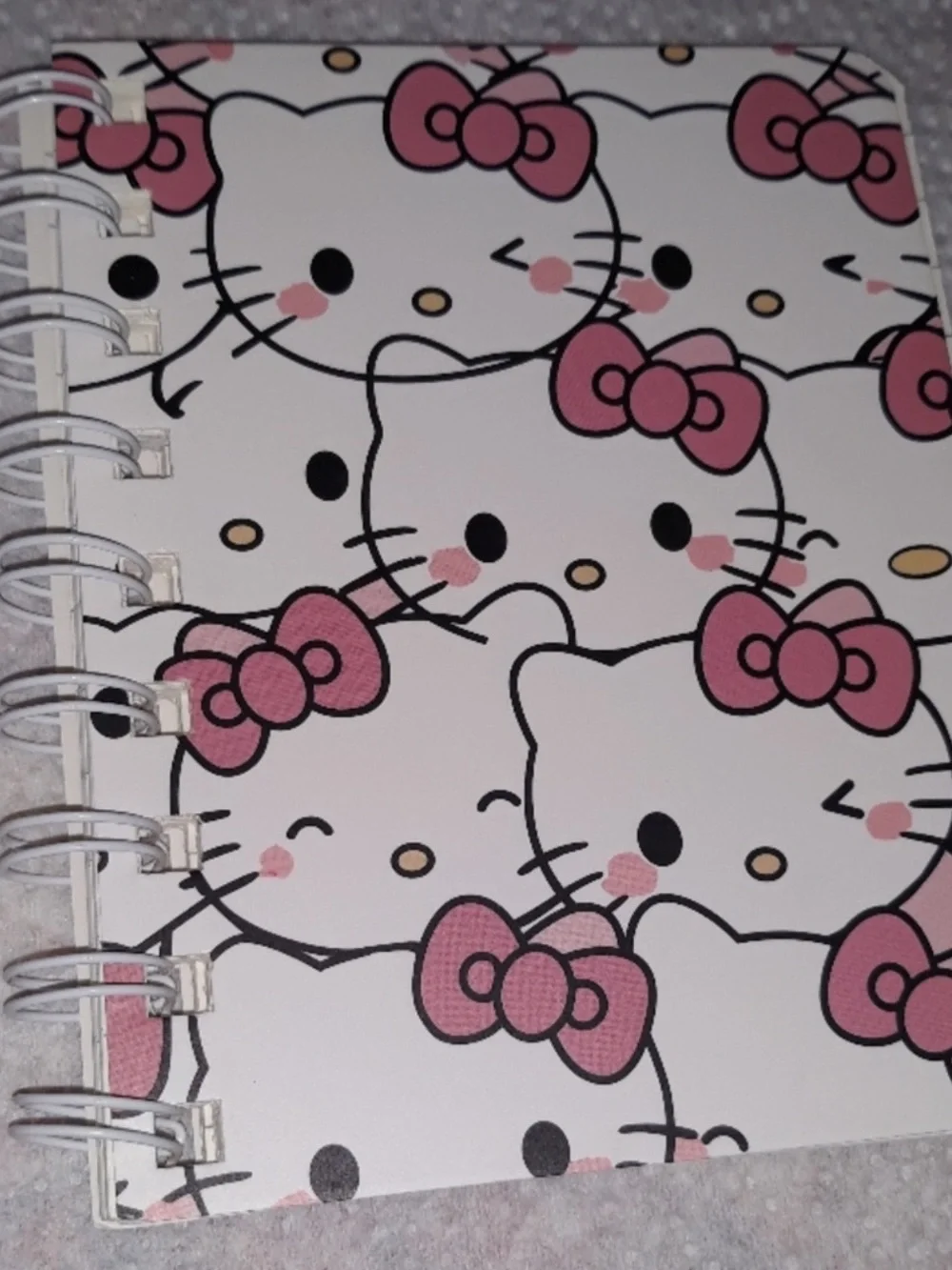 HELLO KITTY Spiral Notebook Adult Kids NEW